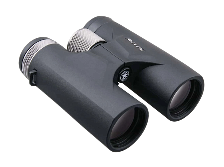 Бинокль Vector Optics Paragon 10x42 (SCBO-04)