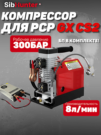 Компрессор высокого давления GX 12/220V для PCP