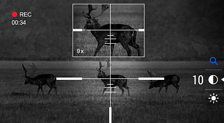 Цифровой прицел DIGEX C50 (день-ночь) + ИК-осветитель Pulsar Digex-X940S