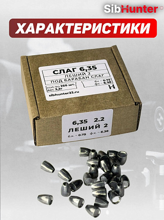 Пули для пневматики SLUG для Леший 2 6.35мм (250шт.) 2,18гр, бк 0.075